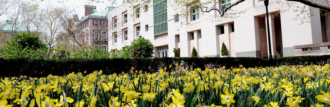 spring flowers, photo by Eileen Barroso